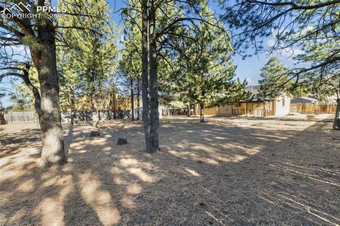 Tiny photo for 1260 Sundance Street, Woodland Park, CO 80863 (MLS # 8277947)