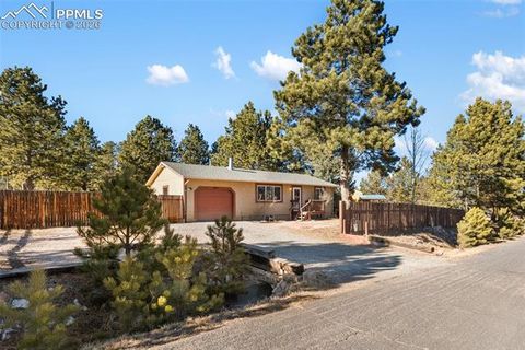 Photo of 1260 Sundance Street, Woodland Park, CO 80863 (MLS # 8277947)