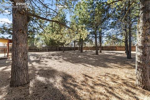 Tiny photo for 1260 Sundance Street, Woodland Park, CO 80863 (MLS # 8277947)