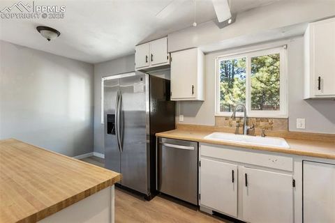 Tiny photo for 1260 Sundance Street, Woodland Park, CO 80863 (MLS # 8277947)