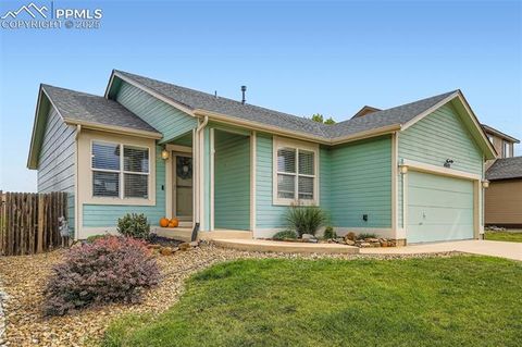 Photo of 4019 Roan Drive, Colorado Springs, CO 80922 (MLS # 4200772)