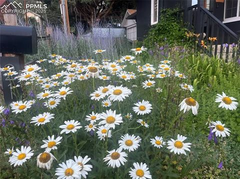 Tiny photo for 210 Mesa Avenue, Manitou Springs, CO 80829 (MLS # 4676572)