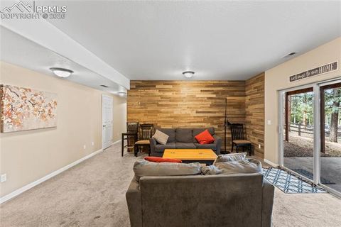 Tiny photo for 1308 Spruce Ridge Lane, Woodland Park, CO 80863 (MLS # 7984273)