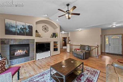 Tiny photo for 1308 Spruce Ridge Lane, Woodland Park, CO 80863 (MLS # 7984273)