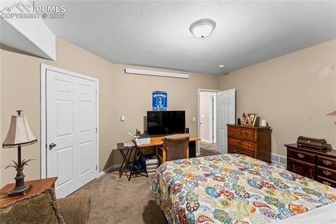 Tiny photo for 1308 Spruce Ridge Lane, Woodland Park, CO 80863 (MLS # 7984273)