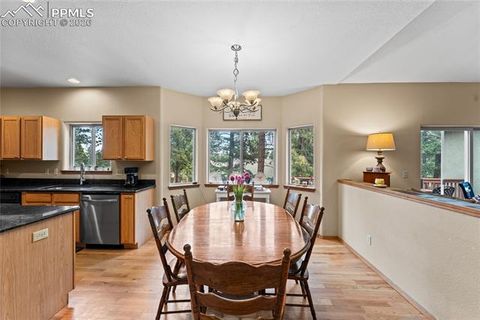 Tiny photo for 1308 Spruce Ridge Lane, Woodland Park, CO 80863 (MLS # 7984273)