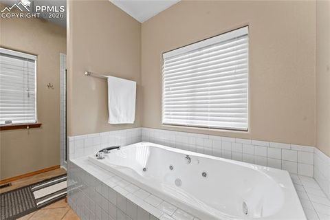 Tiny photo for 1308 Spruce Ridge Lane, Woodland Park, CO 80863 (MLS # 7984273)