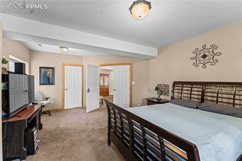 Tiny photo for 1308 Spruce Ridge Lane, Woodland Park, CO 80863 (MLS # 7984273)