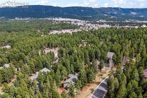 Tiny photo for 1308 Spruce Ridge Lane, Woodland Park, CO 80863 (MLS # 7984273)