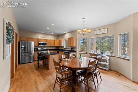 Tiny photo for 1308 Spruce Ridge Lane, Woodland Park, CO 80863 (MLS # 7984273)