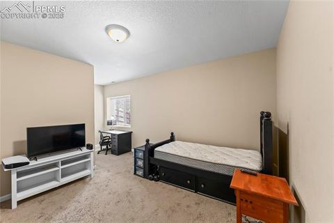 Tiny photo for 1308 Spruce Ridge Lane, Woodland Park, CO 80863 (MLS # 7984273)