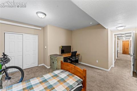Tiny photo for 1308 Spruce Ridge Lane, Woodland Park, CO 80863 (MLS # 7984273)