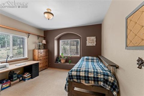 Tiny photo for 1308 Spruce Ridge Lane, Woodland Park, CO 80863 (MLS # 7984273)