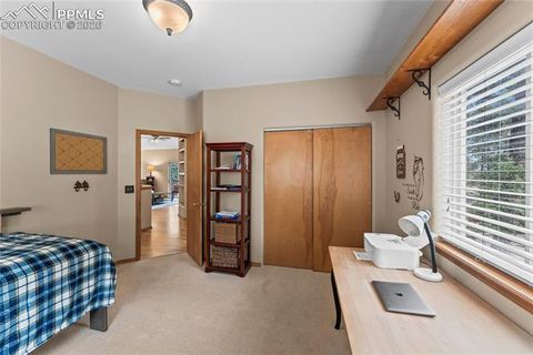 Tiny photo for 1308 Spruce Ridge Lane, Woodland Park, CO 80863 (MLS # 7984273)