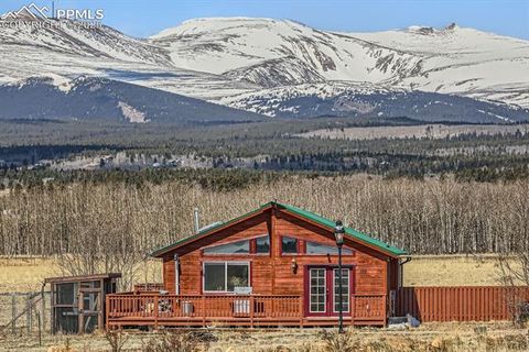119 Bristlecone Lane Fairplay CO 80440