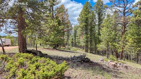 Photo of 26 N Eldorado Circle, Florissant, CO 80816 (MLS # 1359556)