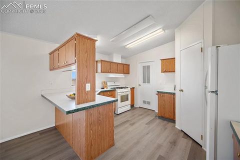 Tiny photo for 15125 Ewing Court, Peyton, CO 80831 (MLS # 7638802)