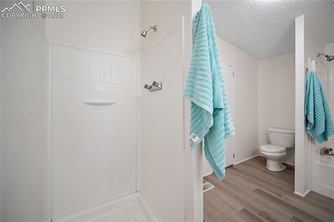Tiny photo for 15125 Ewing Court, Peyton, CO 80831 (MLS # 7638802)