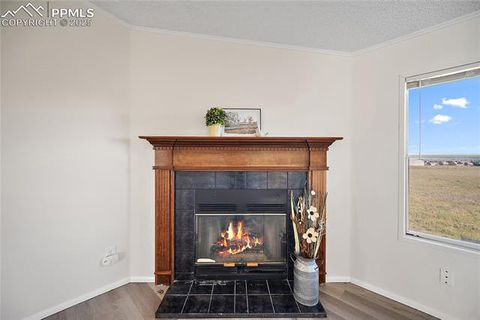 Tiny photo for 15125 Ewing Court, Peyton, CO 80831 (MLS # 7638802)