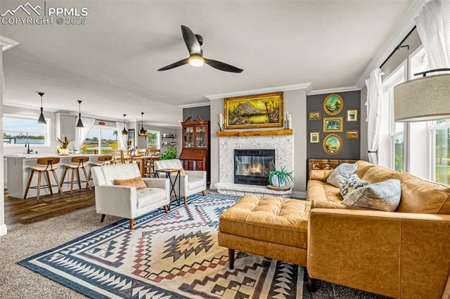 13090 Buena Vista Drive