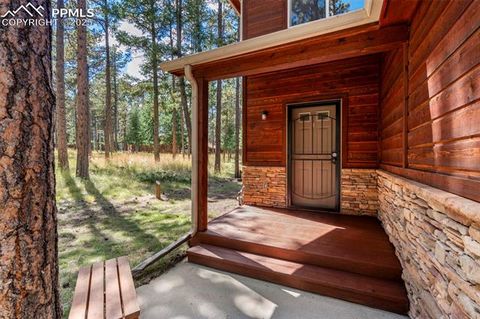 Tiny photo for 316 N Walnut Street, Woodland Park, CO 80863 (MLS # 5231393)