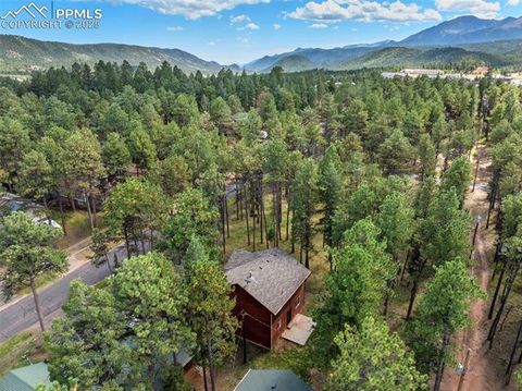 Tiny photo for 316 N Walnut Street, Woodland Park, CO 80863 (MLS # 5231393)