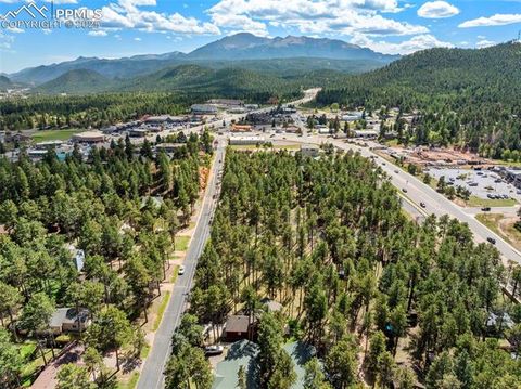 Tiny photo for 316 N Walnut Street, Woodland Park, CO 80863 (MLS # 5231393)