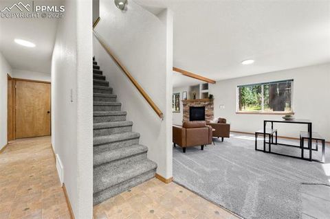 Tiny photo for 316 N Walnut Street, Woodland Park, CO 80863 (MLS # 5231393)