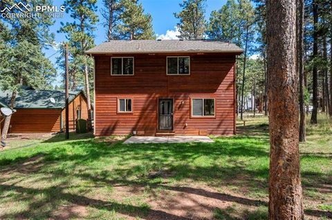 Tiny photo for 316 N Walnut Street, Woodland Park, CO 80863 (MLS # 5231393)