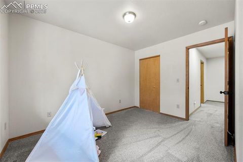 Tiny photo for 316 N Walnut Street, Woodland Park, CO 80863 (MLS # 5231393)