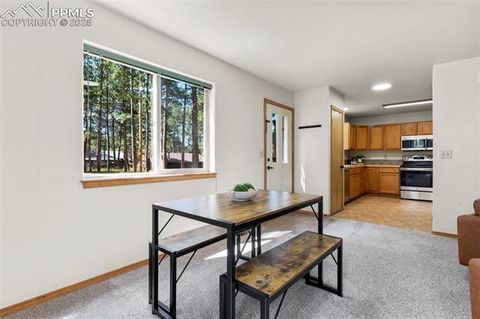 Tiny photo for 316 N Walnut Street, Woodland Park, CO 80863 (MLS # 5231393)