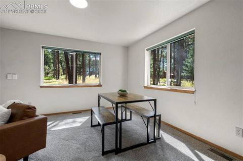 Tiny photo for 316 N Walnut Street, Woodland Park, CO 80863 (MLS # 5231393)