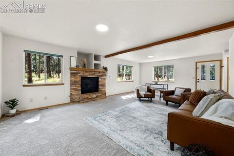 Tiny photo for 316 N Walnut Street, Woodland Park, CO 80863 (MLS # 5231393)