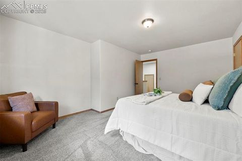 Tiny photo for 316 N Walnut Street, Woodland Park, CO 80863 (MLS # 5231393)