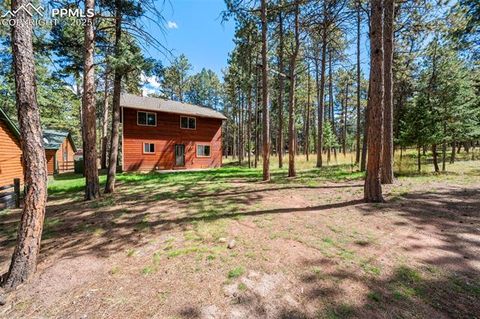 Tiny photo for 316 N Walnut Street, Woodland Park, CO 80863 (MLS # 5231393)