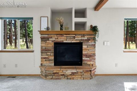 Tiny photo for 316 N Walnut Street, Woodland Park, CO 80863 (MLS # 5231393)