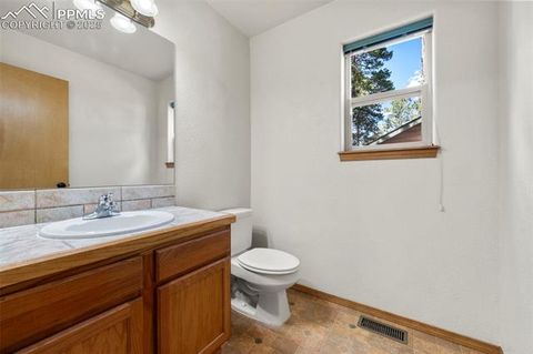 Tiny photo for 316 N Walnut Street, Woodland Park, CO 80863 (MLS # 5231393)