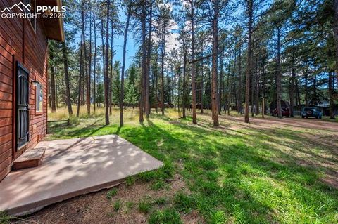 Tiny photo for 316 N Walnut Street, Woodland Park, CO 80863 (MLS # 5231393)