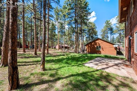 Tiny photo for 316 N Walnut Street, Woodland Park, CO 80863 (MLS # 5231393)