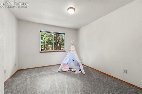 Tiny photo for 316 N Walnut Street, Woodland Park, CO 80863 (MLS # 5231393)