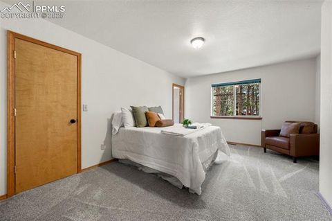 Tiny photo for 316 N Walnut Street, Woodland Park, CO 80863 (MLS # 5231393)