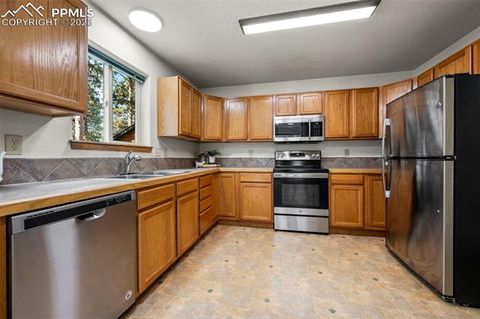 Tiny photo for 316 N Walnut Street, Woodland Park, CO 80863 (MLS # 5231393)