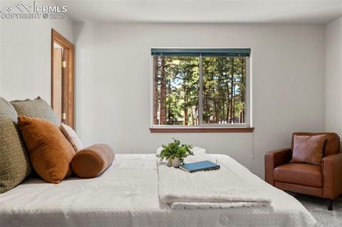 Tiny photo for 316 N Walnut Street, Woodland Park, CO 80863 (MLS # 5231393)