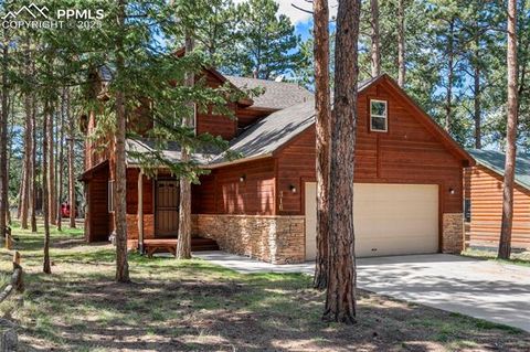 Tiny photo for 316 N Walnut Street, Woodland Park, CO 80863 (MLS # 5231393)