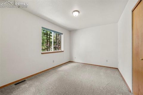 Tiny photo for 316 N Walnut Street, Woodland Park, CO 80863 (MLS # 5231393)