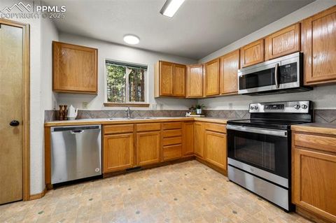 Tiny photo for 316 N Walnut Street, Woodland Park, CO 80863 (MLS # 5231393)