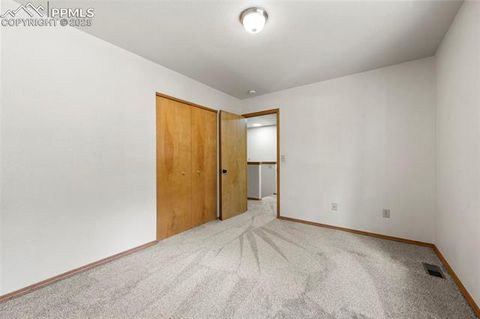 Tiny photo for 316 N Walnut Street, Woodland Park, CO 80863 (MLS # 5231393)