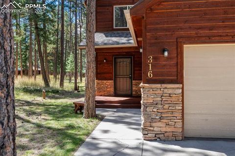 Tiny photo for 316 N Walnut Street, Woodland Park, CO 80863 (MLS # 5231393)