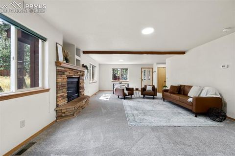 Tiny photo for 316 N Walnut Street, Woodland Park, CO 80863 (MLS # 5231393)