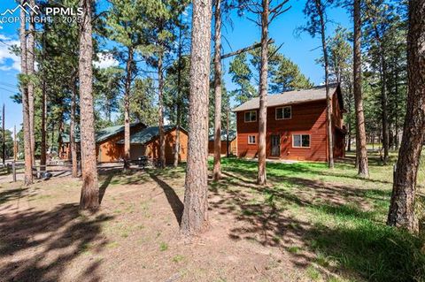 Tiny photo for 316 N Walnut Street, Woodland Park, CO 80863 (MLS # 5231393)